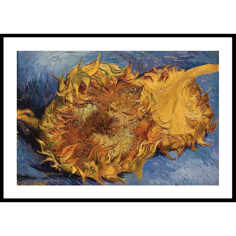 Snabb frakt Poster Gallerix Sunflowers By Vincent van GoghStorlek: 50x70 cm