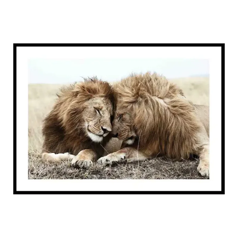 Säker betalning Poster Gallerix Lion BothersStorlek: 21x30 cm